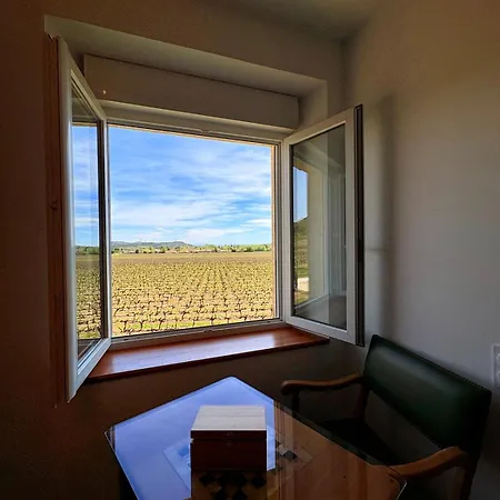 De Charme Avec Piscine Au Milieu Des Vignes