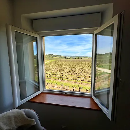 Villa De Charme Avec Piscine Au Milieu Des Vignes Tresques
